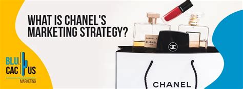 chanel market segmentation|chanel brand strategy.